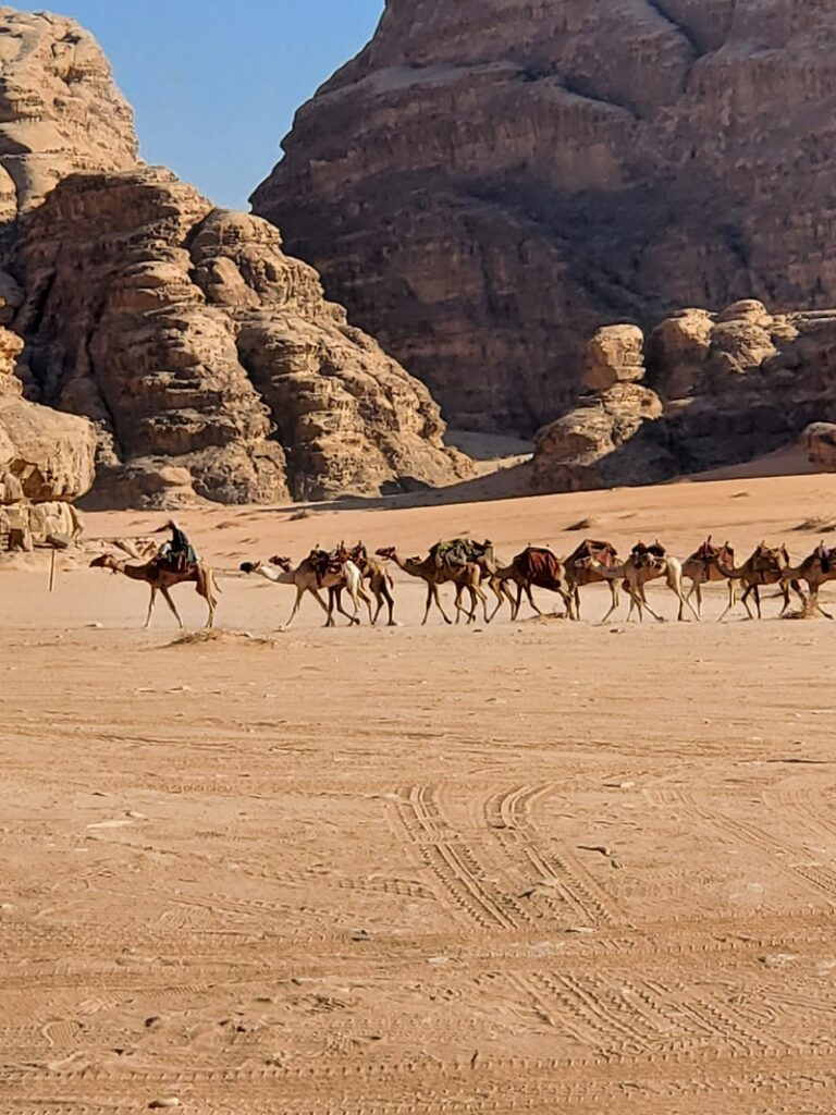 A camel train makes its way across the desert.