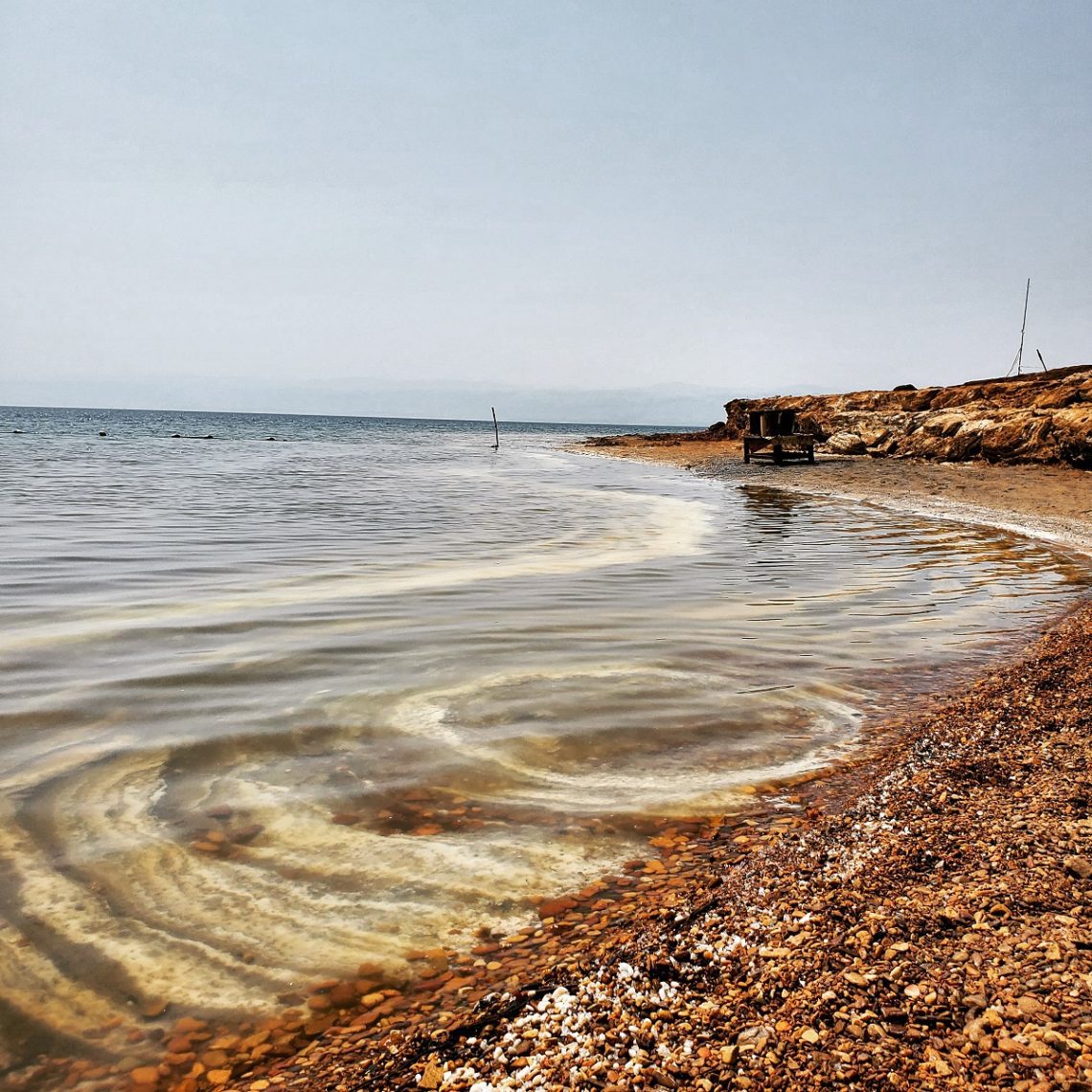 Concentric rings of white salt rings the brown pebble and sand beach of the Dead Sea