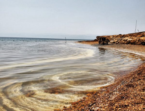 Concentric rings of white salt rings the brown pebble and sand beach of the Dead Sea