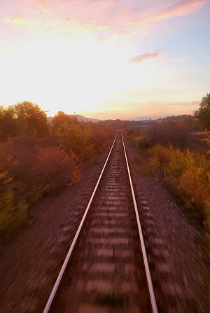 From the rear most car of the train, tracks blur back into the distant sunrise. Autumn leaves color the trees and bushes alongside in yellows, oranges and reds.