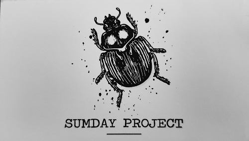 A photo of the Sumday Project Logo which is a stylized scarab, on a card.