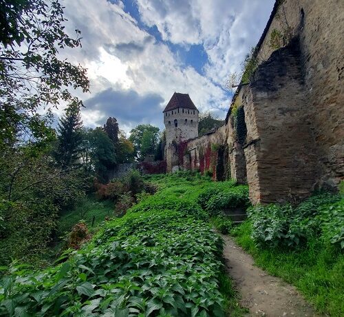 Just outside the castle keep's walls. Vines climb the wall that ends in a large tower.