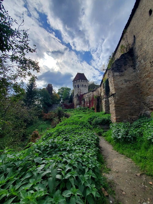 Just outside the castle keep's walls. Vines climb the wall that ends in a large tower.