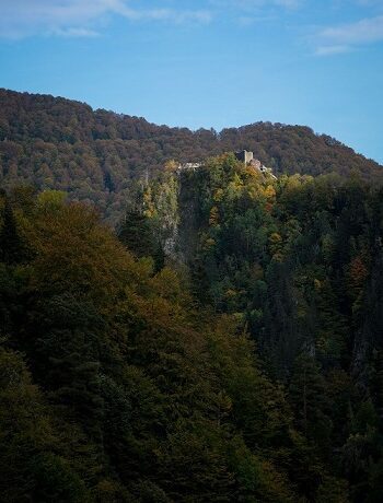 The walls and ruins of Peonari castle cover the top of a ridge seen from a distance. Treetops come to the base of its walls. Surrounded by greens and oranges of autumn.